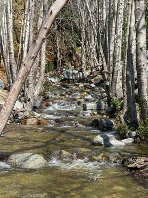 Etiwanda Falls Trail 7